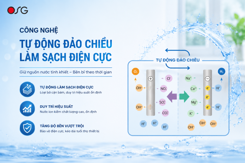 LÀM SẠCH ĐIỆN CỰC TỰ ĐỘNG